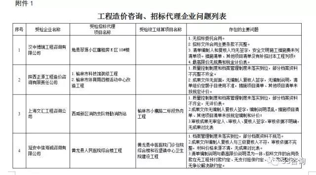 工程造價(jià)咨詢、招標(biāo)代理企業(yè)問題列表