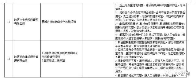 工程造價(jià)咨詢、招標(biāo)代理企業(yè)問題列表