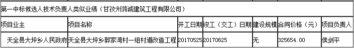 第一中標候選人技術(shù)負責(zé)人類似業(yè)績