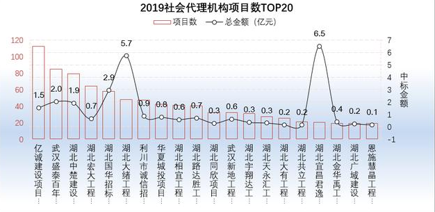 2019社會代理機構項目數(shù)TOP20