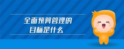 全面預算管理的目的是什么？